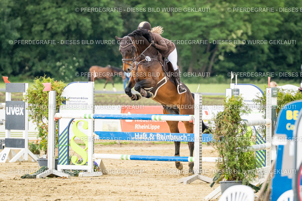 DSC06643 | Pferdegrafie