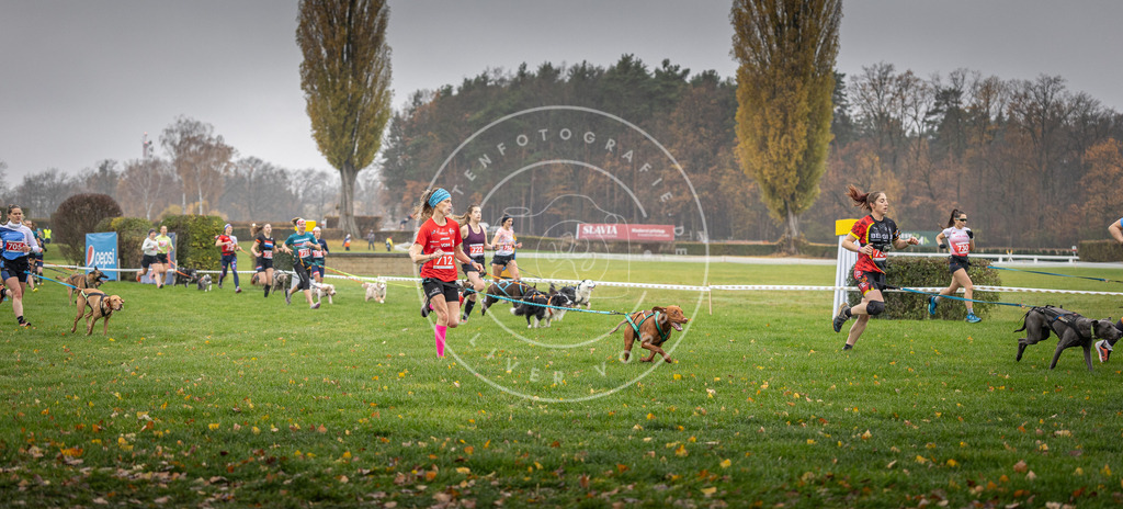 CaniXpix_DV3A8825 | Hundefotografie, Tierfotograf, Pfotenfotografie, Fotoshooting Hund, Hunde Portrait, Hundesport, Hundeportraits, Heideshooting, Hunde, Sportfotograf, Hundefotograf, Turnierhundsport, THS,  - Realisiert mit Pictrs.com