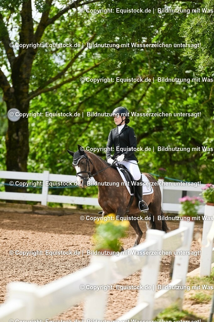 20230716_10-1_Reiter-WB Schritt - Trab - Galopp_0194 | equistock