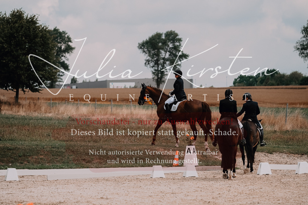 DSC_3710 | Pferde- und Turnierfotografie in Westsachsen. Pferdeportraits, Auftragszeichnungen und intuitive Kunst.
