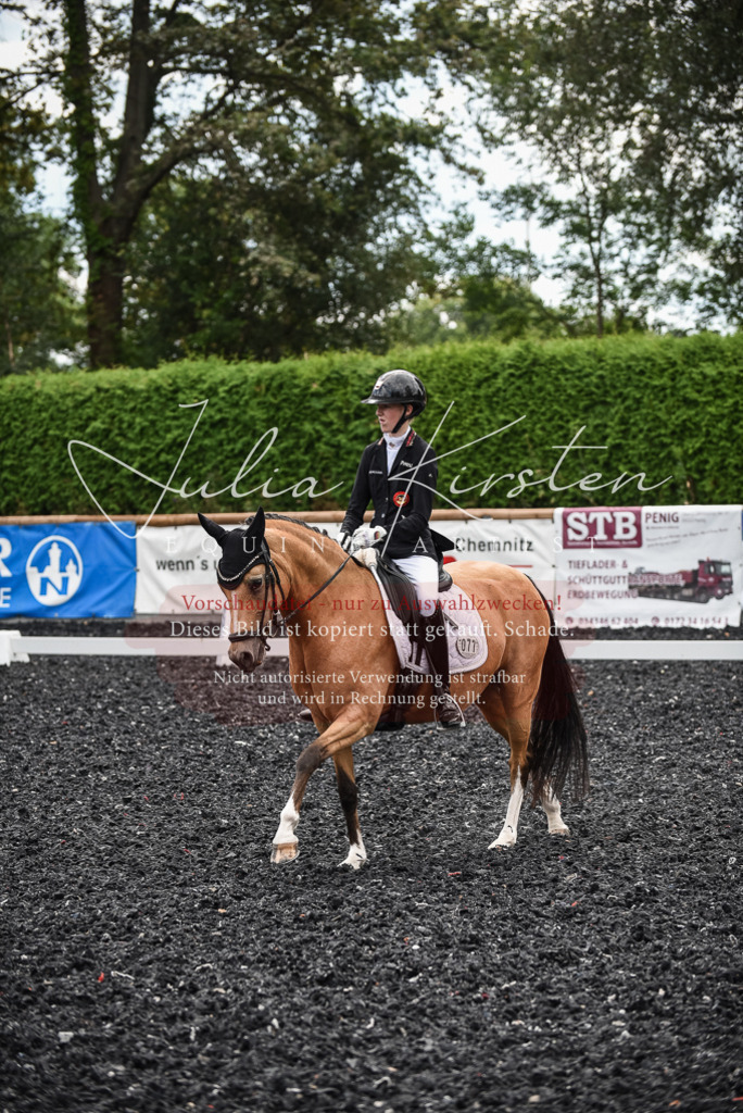 DSC_4446 | Pferde- und Turnierfotografie in Westsachsen. Pferdeportraits, Auftragszeichnungen und intuitive Kunst.