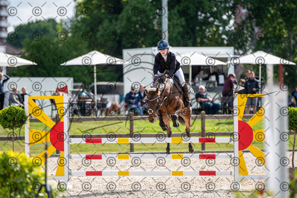 KPT_4850 | andre_photographic