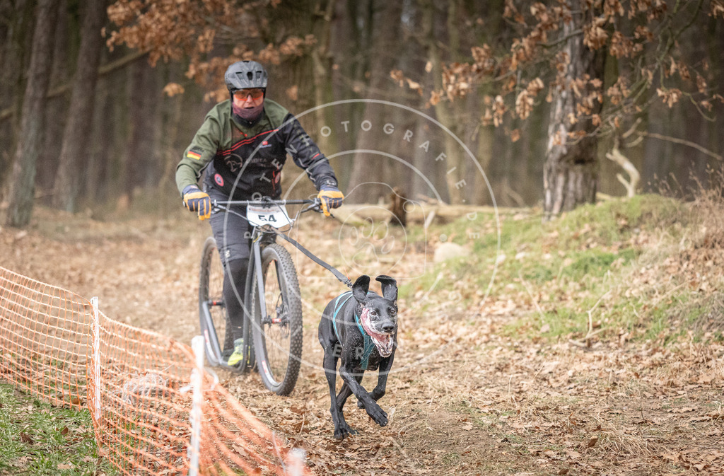 Pfotenfotografie_DV3A1498 | Hundefotografie, Tierfotograf, Pfotenfotografie, Fotoshooting Hund, Hunde Portrait, Hundesport, Hundeportraits, Heideshooting, Hunde, Sportfotograf, Hundefotograf, Turnierhundsport, THS,  - Realisiert mit Pictrs.com