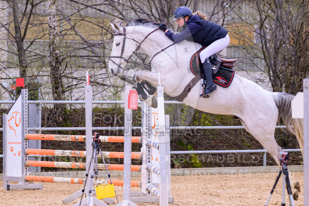 10042026-Mammendorf-Prfg17-0484 | Fokus Hufschlag Fotografie - Realisiert mit Pictrs.com