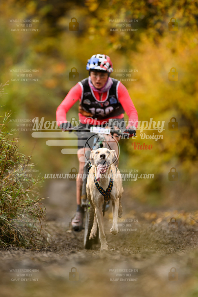 MompixPhotography_ICF_WC_2024_SA_Bike_-135 | PayLife