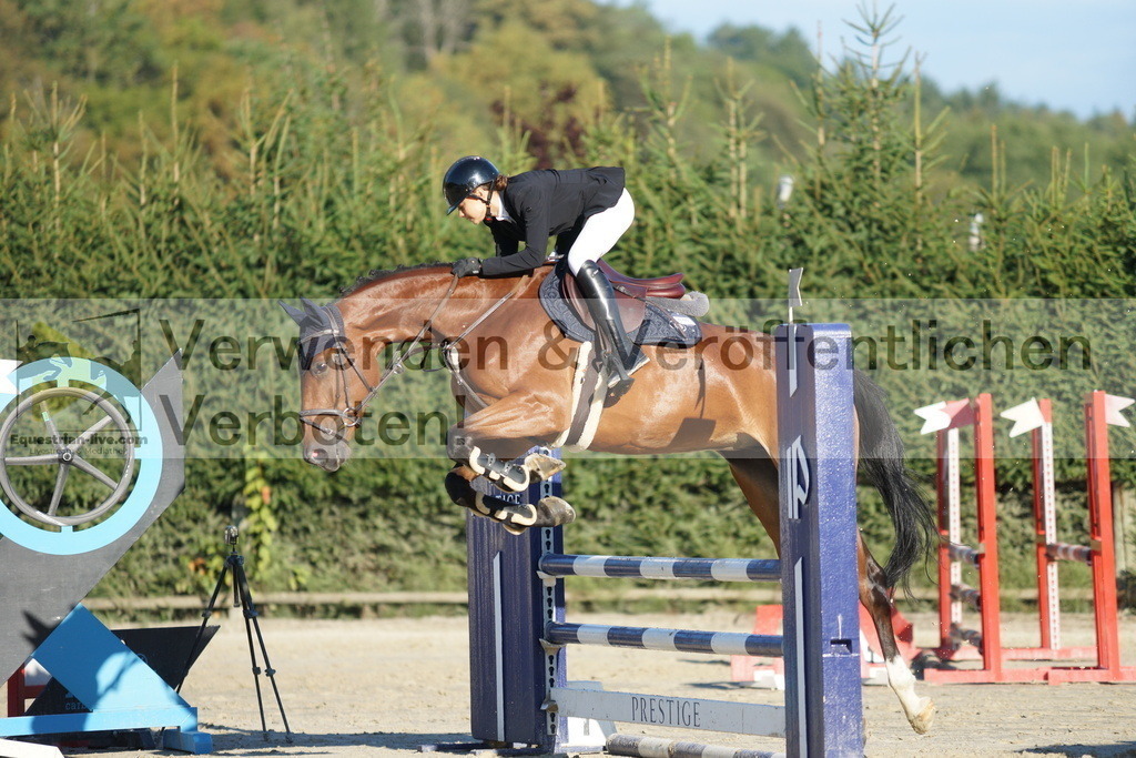 DSC09426 | equestrian-live-com