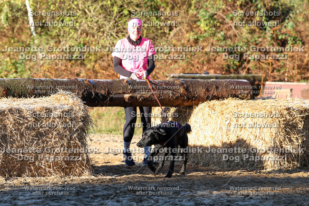 Dog Paparazzi - Strongdog 10-25-840 | Dog Paparazzi Jeanette Grottendiek Fotografie & Videografie - Realisiert mit Pictrs.com