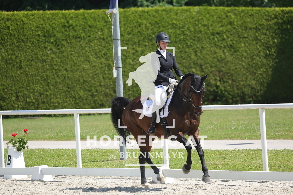 0P6A2492 | Willkommen bei Brunnmayr - Design & Fotografie – Ihrem Spezialisten für Reitturniere und Pferdeveranstaltungen in Oberösterreich, Salzburg und Bayern! Seit über 17 Jahren sind wir leidenschaftlich dabei.