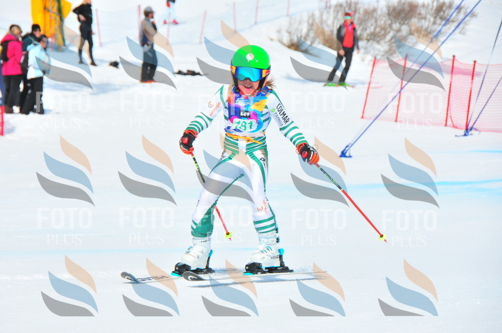 DSC_1652 | holidayphoto