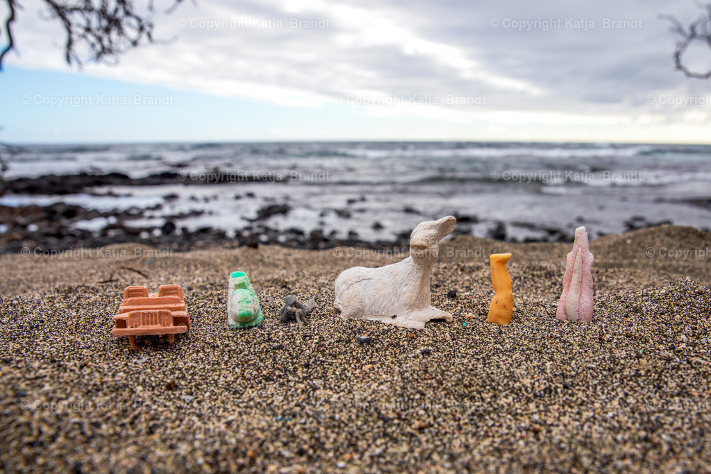 Wasserfundbüro-60x40 | Katja Brandt 