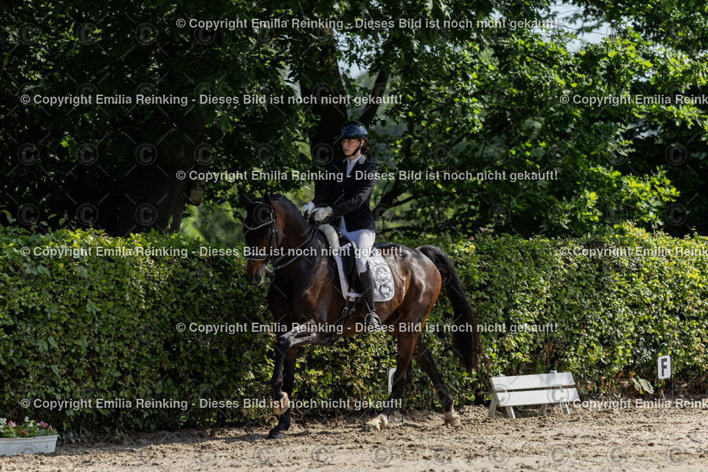 CL5A7300 | Emilia Reinking Fotografie - Realisiert mit Pictrs.com