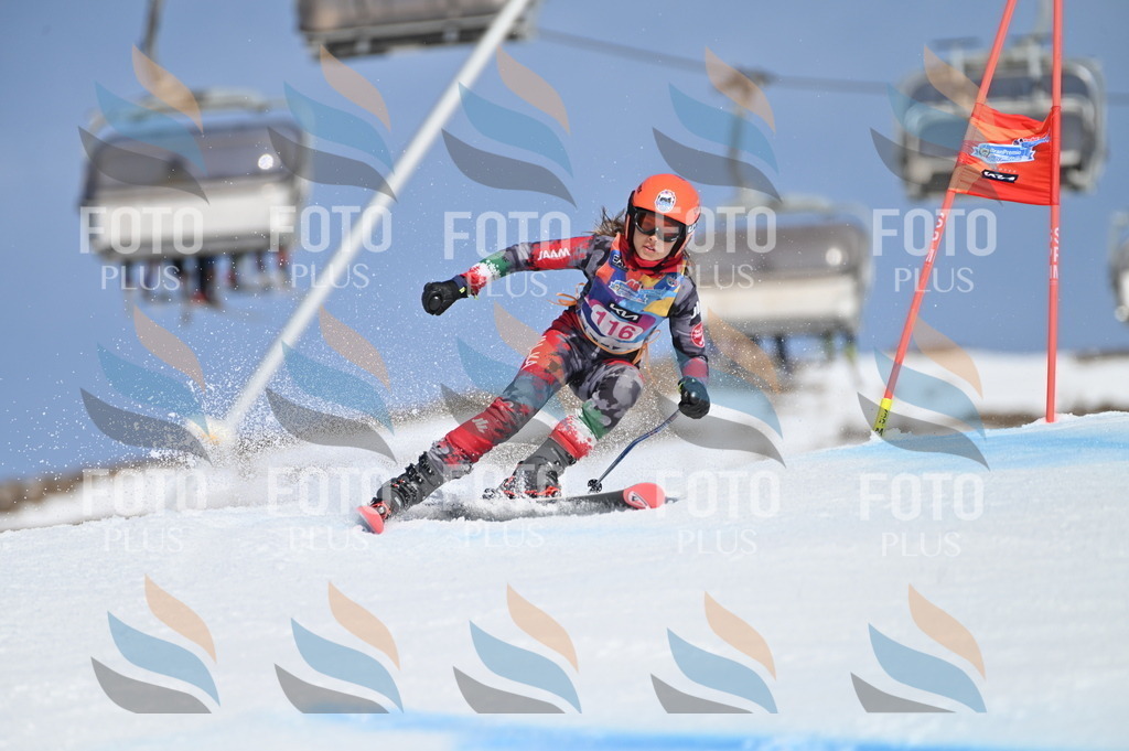 BGV_9730 | holidayphoto