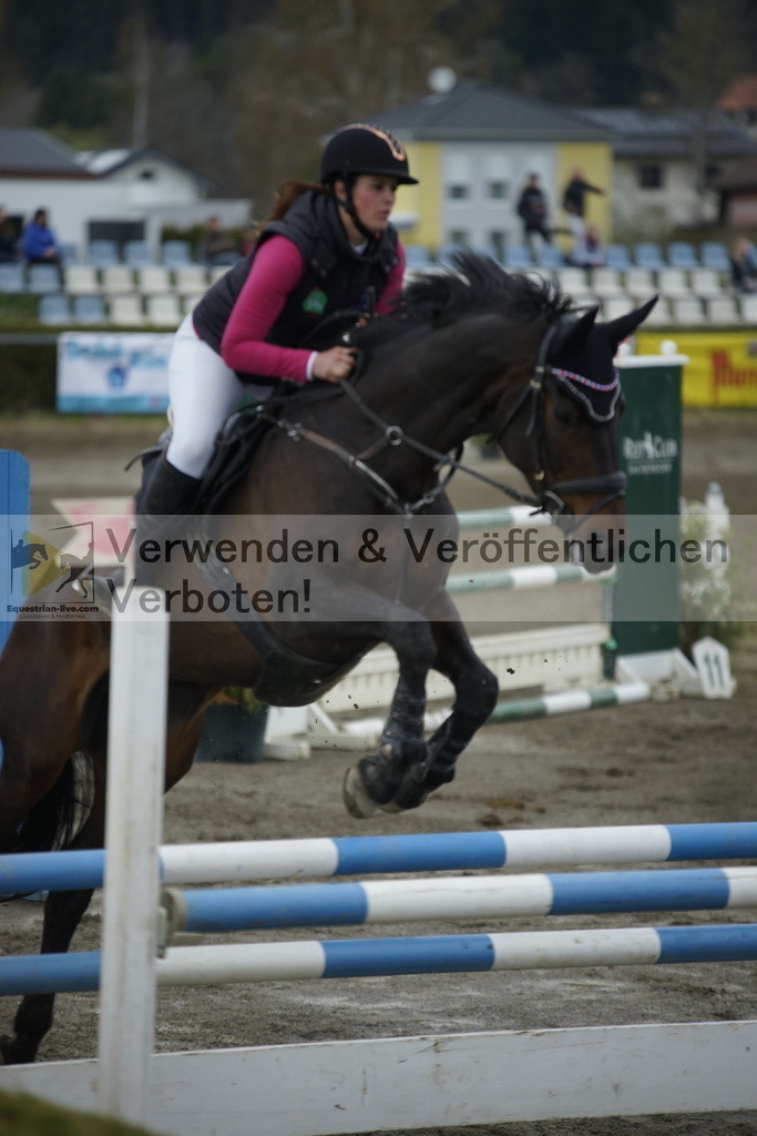 _DSC7912 | equestrian-live-com
