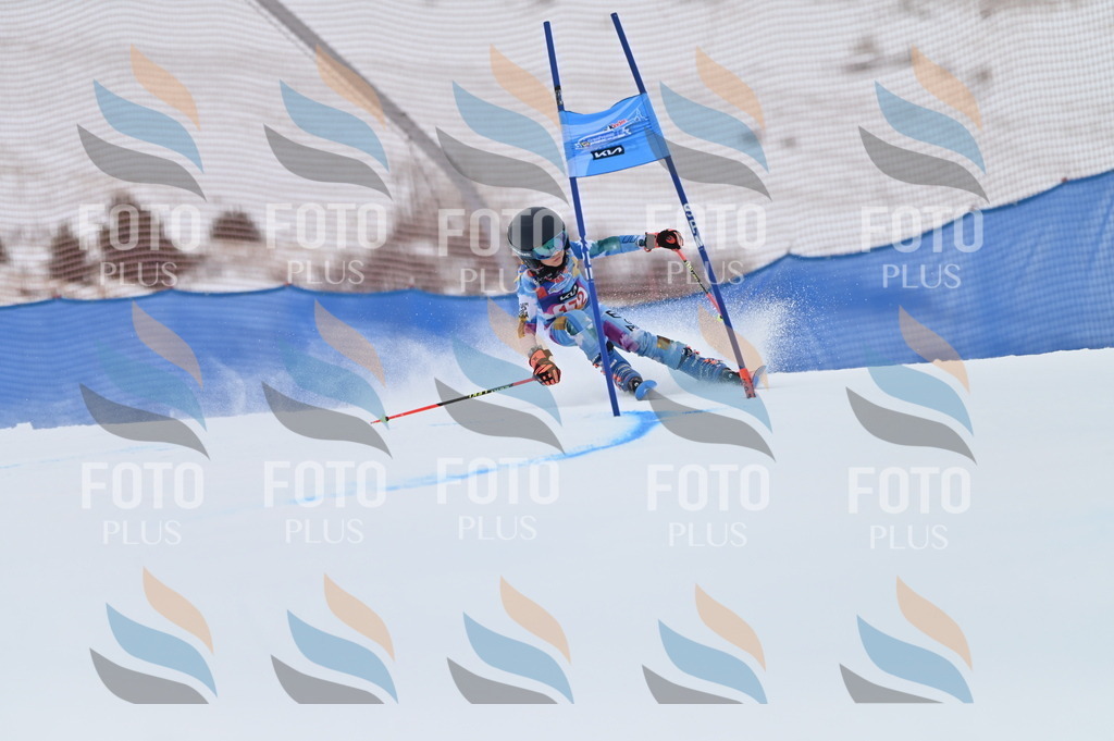 BGV_0667 | holidayphoto