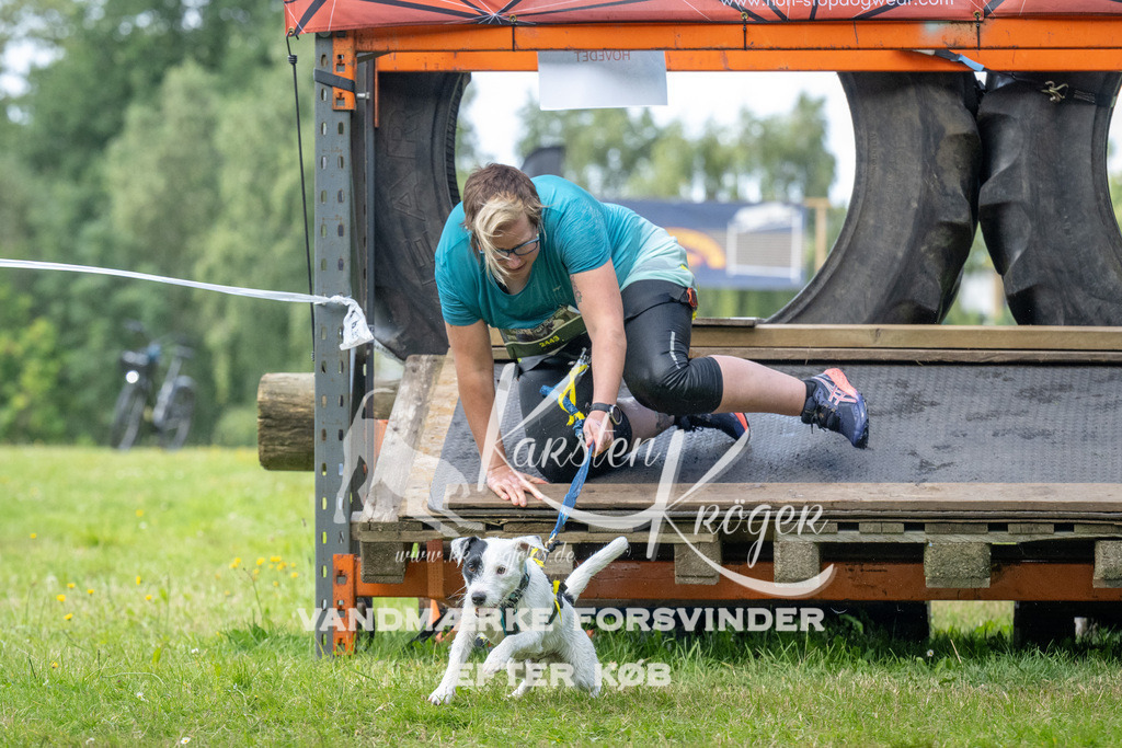 1555_ZZ94979 | kk-dogfotos