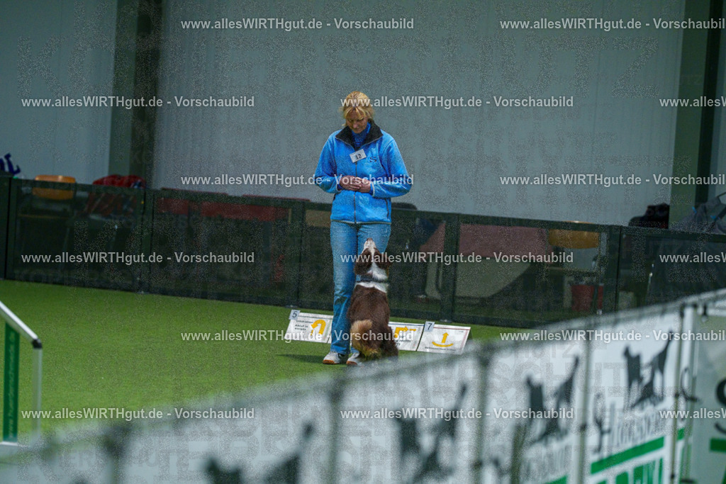 7R505060 | Professionelle Tierfotografie in Mönchengladbach von Daniel Wirth (allesWIRTHgut). Liebevolle & natürliche Bilder von Hunden & Katzen für unvergessliche Erinnerungen.