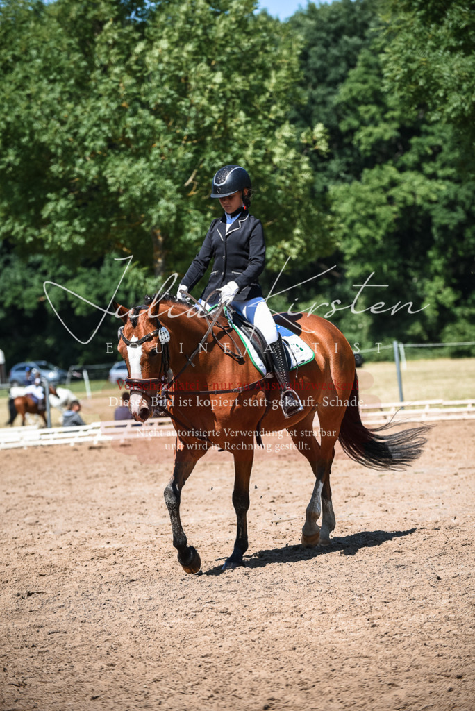 DSC_3421 | Pferde- und Turnierfotografie in Westsachsen. Pferdeportraits, Auftragszeichnungen und intuitive Kunst.