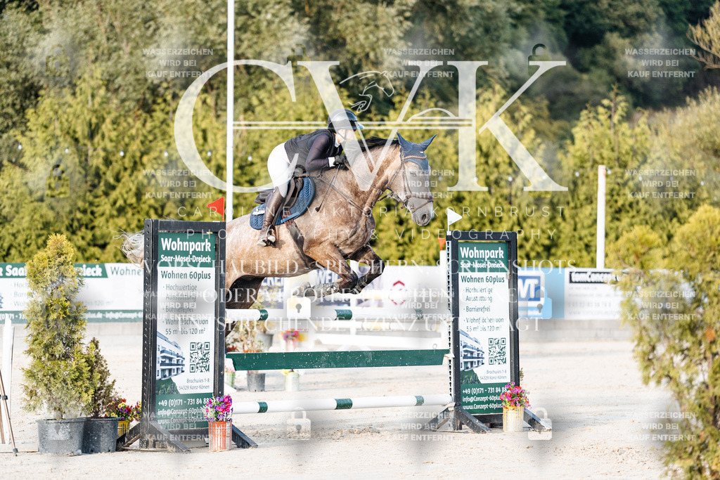 CK900885 | Turnierfotografie Pferdefotografie Trier Rheinland-Pfalz Pferdesport Reitsport Tierfotografie Sportfotografie Pferdevideo Pferdevideografie Equestrianvideography equestrianphotography  - Realisiert mit Pictrs.com