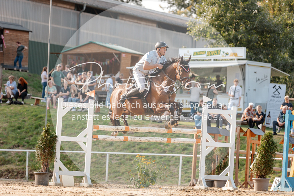 3I6A5254 | Stimmungsvolle Portraits und Reitsportfotografie im Ruhrgebiet und im Münsterland.

Pferdefotografie, Hundefotografie, Tierfotografie, Reportagen, Portraits von Tier und Mensch, Turnierfotografie in Bochum, Recklinghausen, Marl, Haltern am See, Dülmen.. - Realisiert mit Pictrs.com