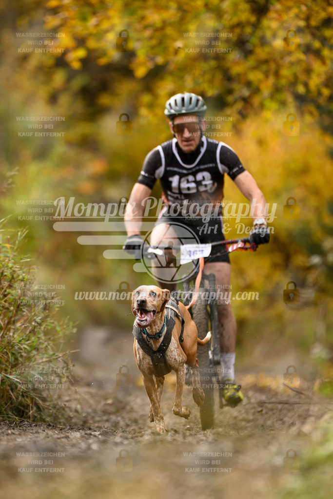 MompixPhotography_ICF_WC_2024_SA_Bike_-209 | PayLife