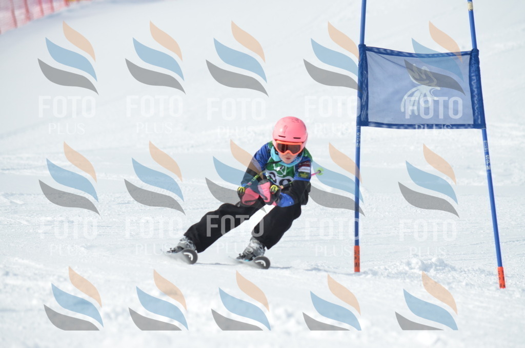 D8643 | holidayphoto