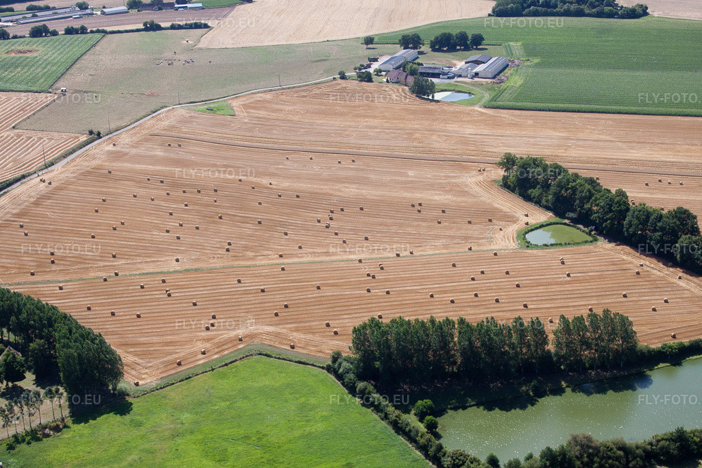 Vue aérienne: Structures des champs de céréales à Melleray dans le département Sarthe, France. Photo: IMG_20016.jpg prise le 30/07/2009 par Werner Riehm/FLY-FOTO.euRésolution de l'original: 4752 x 3168 px