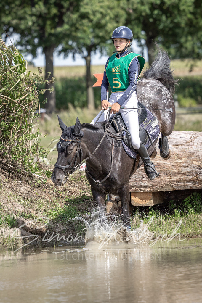20250907-_3LI0846 | Tierfotografie Pferde, Hunde, Katzen, Haustiere.
Turnierfotografie Reitturniere, Reiten, Springreiten, Dressur in Hanau, dem Main-Kinzig-Kreis und dem Rhein-Main- Gebiet um Frankfurt