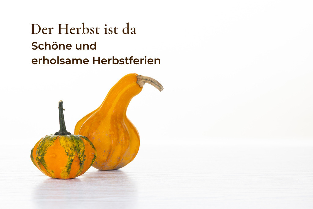 Ankündigung für Betriebsferien im Herbst mit Zierkürbissen und Text vor hellem Hintergrund (mit Freiraum für Text oder Logo) | Ankündigung für Betriebsferien im Herbst mit Zierkürbissen und Text vor hellem Hintergrund (mit Freiraum für Text oder Logo) - Realisiert mit Pictrs.com