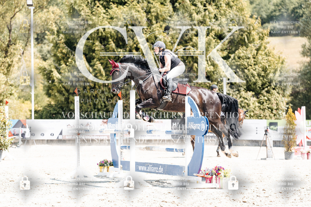 CK900626 | Turnierfotografie Pferdefotografie Trier Rheinland-Pfalz Pferdesport Reitsport Tierfotografie Sportfotografie Pferdevideo Pferdevideografie Equestrianvideography equestrianphotography  - Realisiert mit Pictrs.com