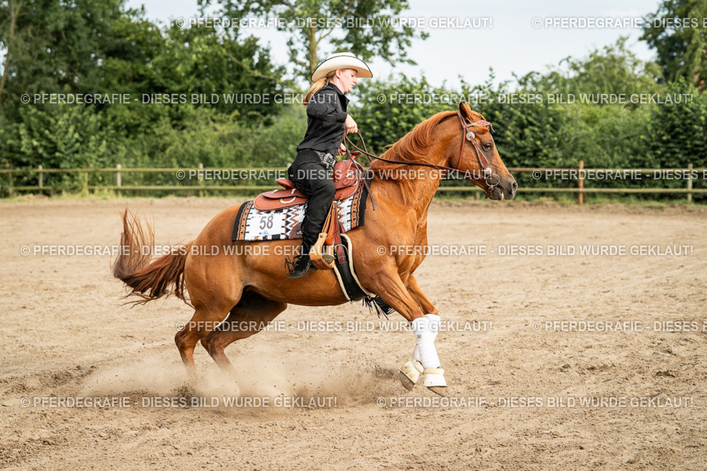 DSC05292 | Pferdegrafie