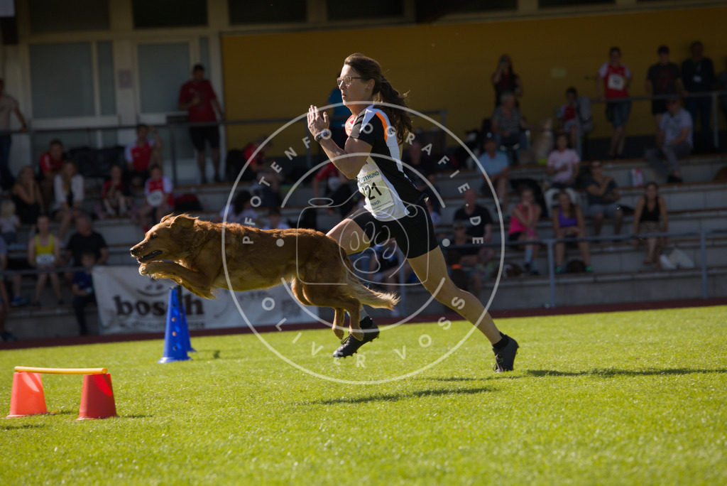 0L8A7877 | Hundefotografie, Tierfotograf, Pfotenfotografie, Fotoshooting Hund, Hunde Portrait, Hundesport, Hundeportraits, Heideshooting, Hunde, Sportfotograf, Hundefotograf, Turnierhundsport, THS,  - Realisiert mit Pictrs.com