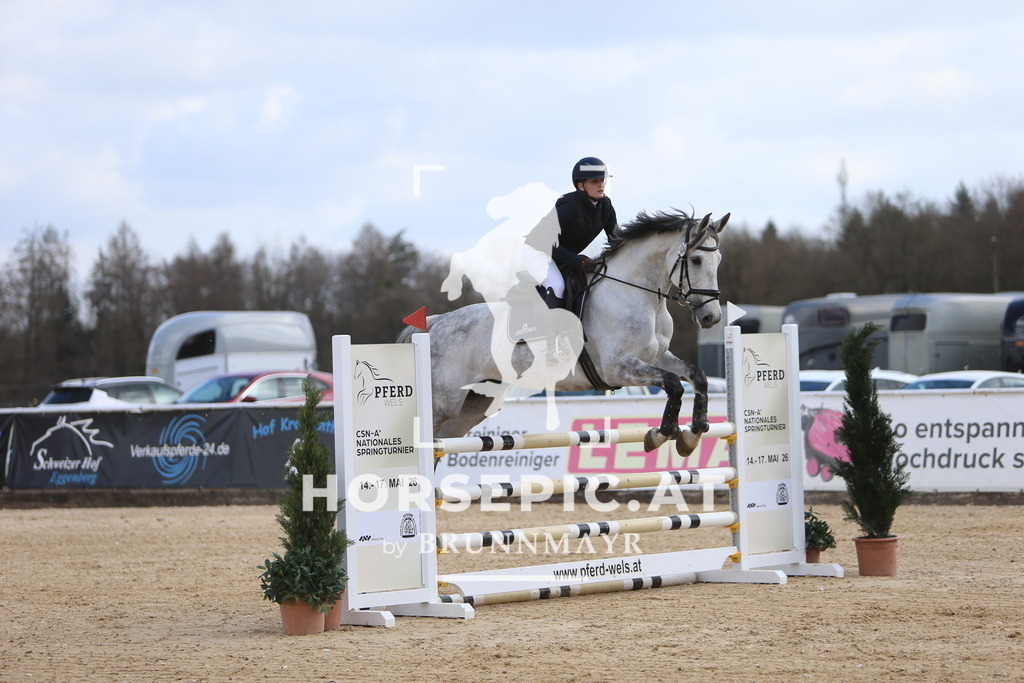 DL2Q9474 | Willkommen bei Brunnmayr - Design & Fotografie – Ihrem Spezialisten für Reitturniere und Pferdeveranstaltungen in Oberösterreich, Salzburg und Bayern! Seit über 17 Jahren sind wir leidenschaftlich dabei.