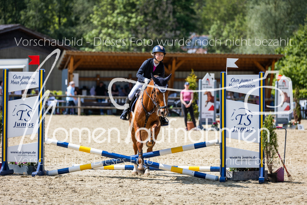 Donop24-SprRW-040 | MomenTaufnahmen Pferdesportfotos