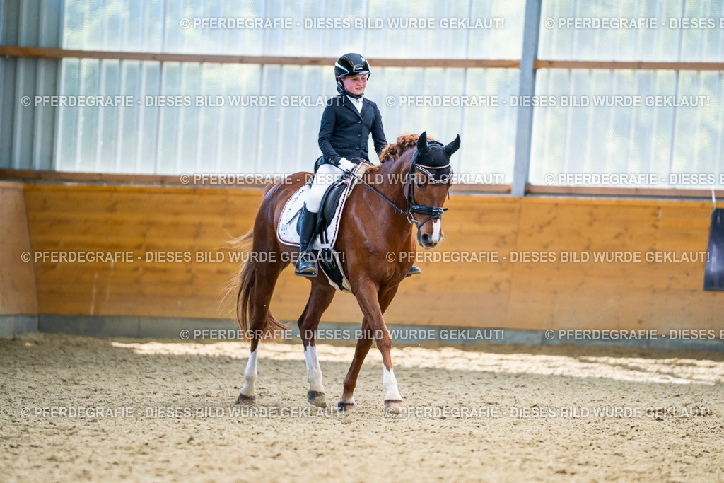 DSC05229 | Pferdegrafie