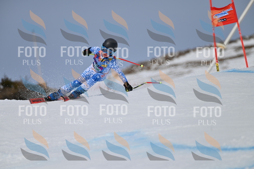 BGV_5695 | holidayphoto