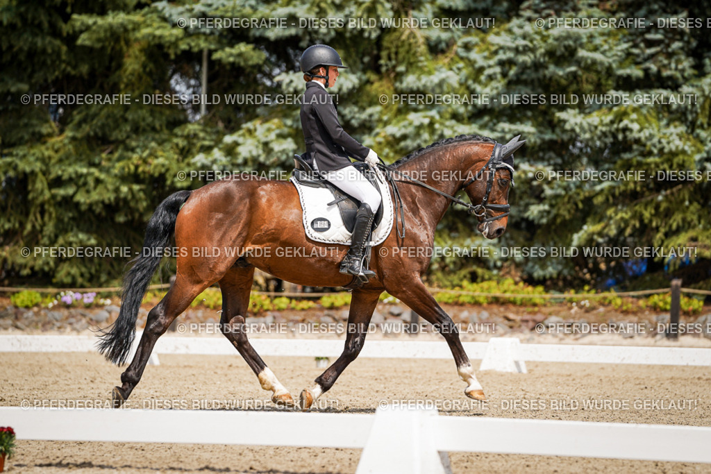 DSC03055 | Pferdegrafie