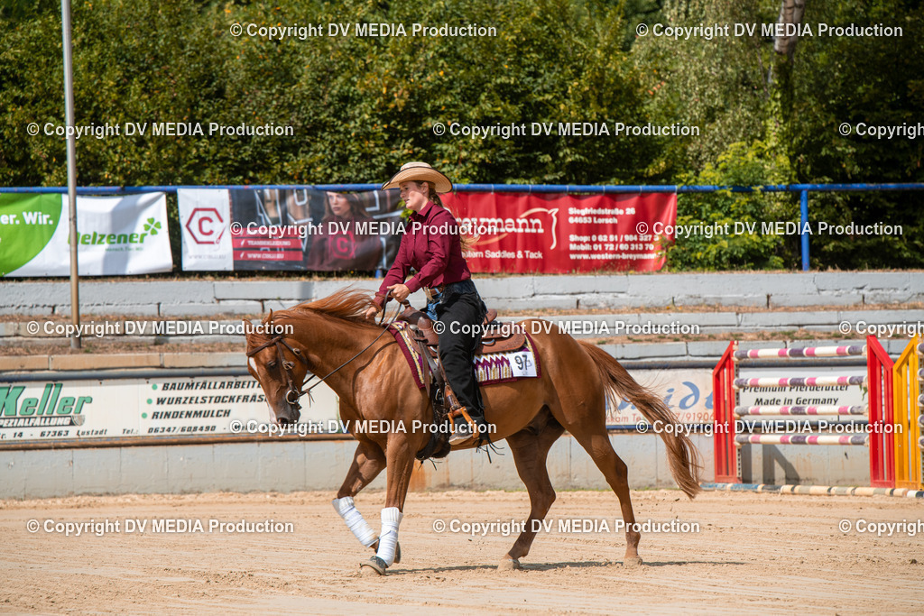 ZS3_9550 | dv-media-shop - Realisiert mit Pictrs.com