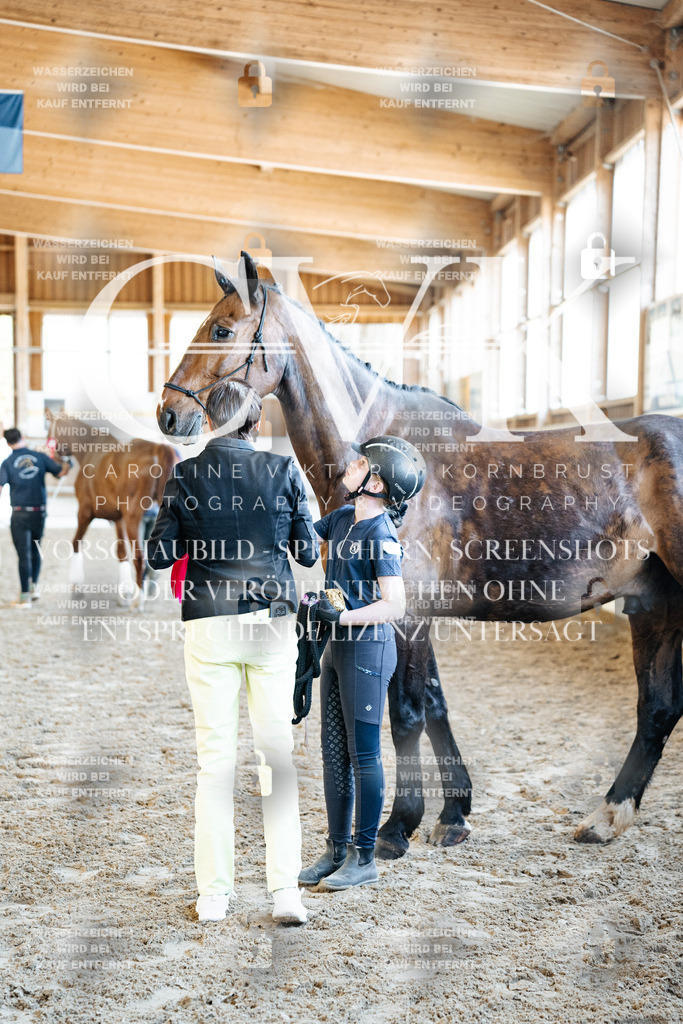 CK703202 | Turnierfotografie Pferdefotografie Trier Rheinland-Pfalz Pferdesport Reitsport Tierfotografie Sportfotografie Pferdevideo Pferdevideografie Equestrianvideography equestrianphotography  - Realized with Pictrs.com