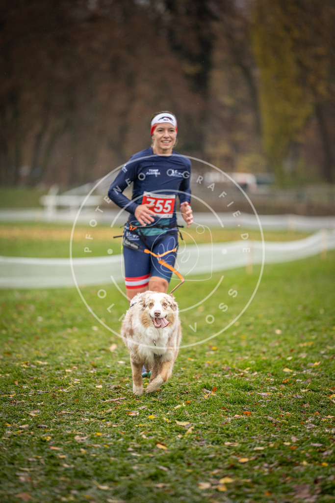 CaniXpix_DV3A9554 | Hundefotografie, Tierfotograf, Pfotenfotografie, Fotoshooting Hund, Hunde Portrait, Hundesport, Hundeportraits, Heideshooting, Hunde, Sportfotograf, Hundefotograf, Turnierhundsport, THS,  - Realisiert mit Pictrs.com