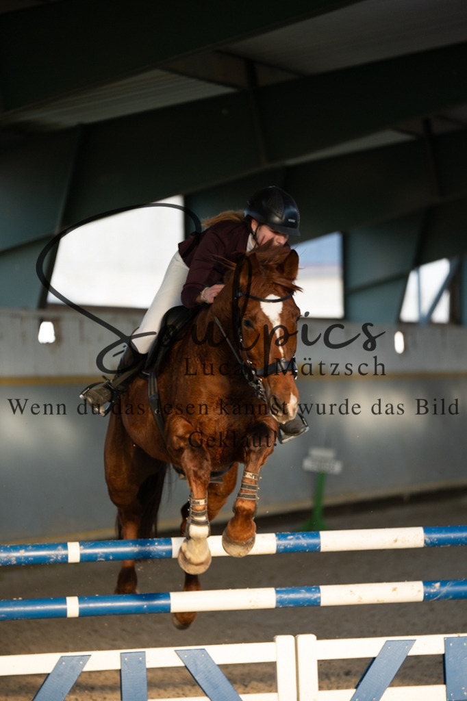 A7V07585 | Pferdefotograf