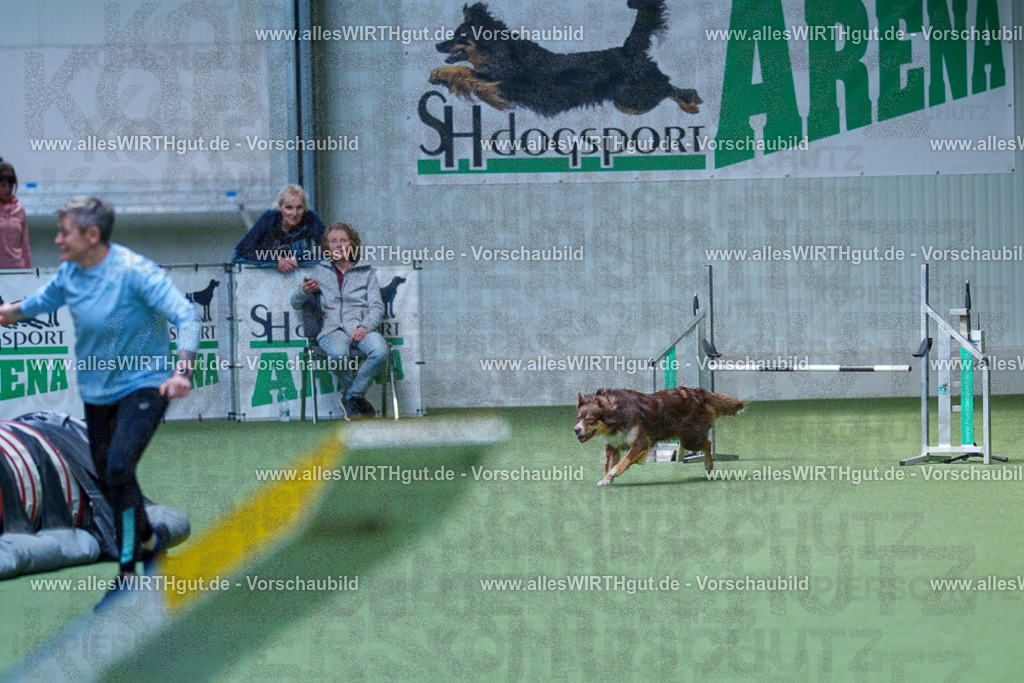 @allesWIRTHgut_Tierfotografie - www.allesWIRTHgut.de - 2604251339-7R503731 | Professionelle Tierfotografie in Mönchengladbach von Daniel Wirth (allesWIRTHgut). Liebevolle & natürliche Bilder von Hunden & Katzen für unvergessliche Erinnerungen.