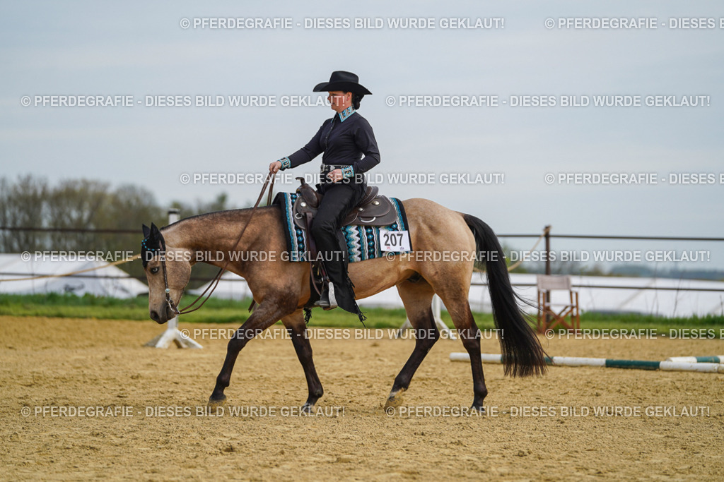 DSC03881 | Pferdegrafie