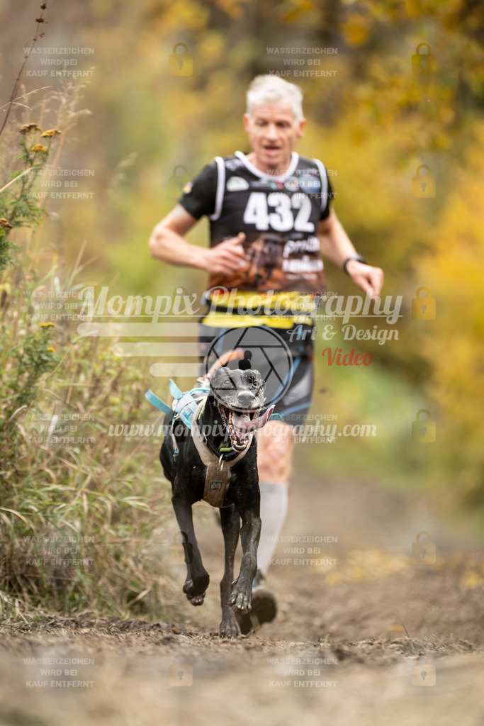 MompixPhotography_ICF_WC_2024_SA_Run_-423 | PayLife