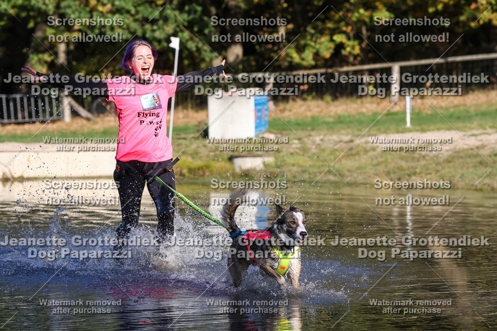 Dog Paparazzi - Strongdog 10-25-8814 | Dog Paparazzi Jeanette Grottendiek Fotografie & Videografie - Realisiert mit Pictrs.com