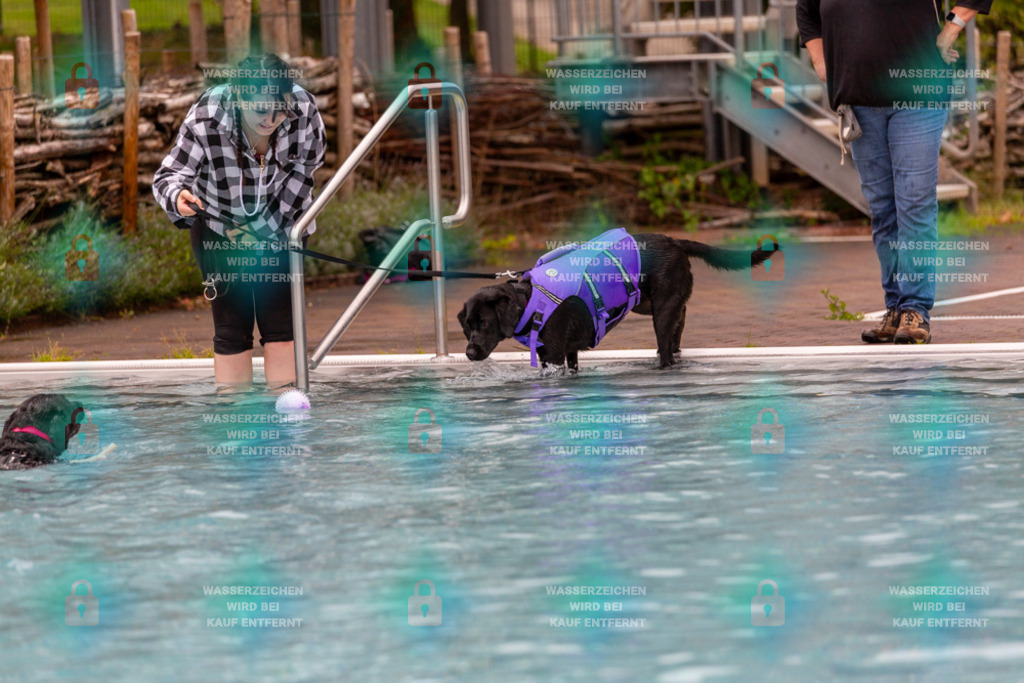 _HP_6136_1000o | HetPix, HetPix Fotodesign, Fotografie, Fotodesign, Webshop, Sportfotografie, Portraitfotografie, Onlineshop, Sportfotografie, Polch, Motorsportfotografie, Eventfotografie