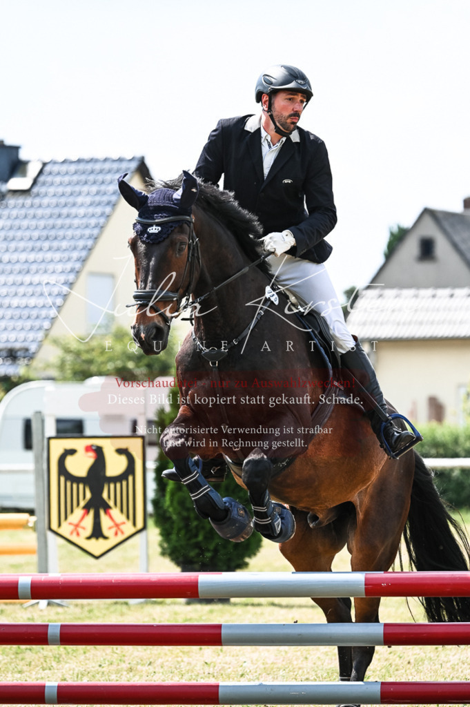 DSC_8904 | Pferde- und Turnierfotografie in Westsachsen. Pferdeportraits, Auftragszeichnungen und intuitive Kunst.