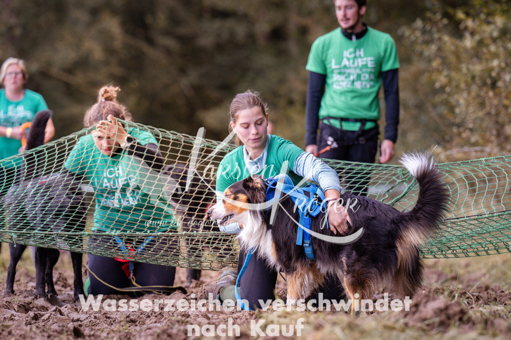 1216_ZZ92844 | kk-dogfotos