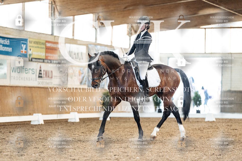 CK908606 | Turnierfotografie Pferdefotografie Trier Rheinland-Pfalz Pferdesport Reitsport Tierfotografie Sportfotografie Pferdevideo Pferdevideografie Equestrianvideography equestrianphotography  - Realized with Pictrs.com