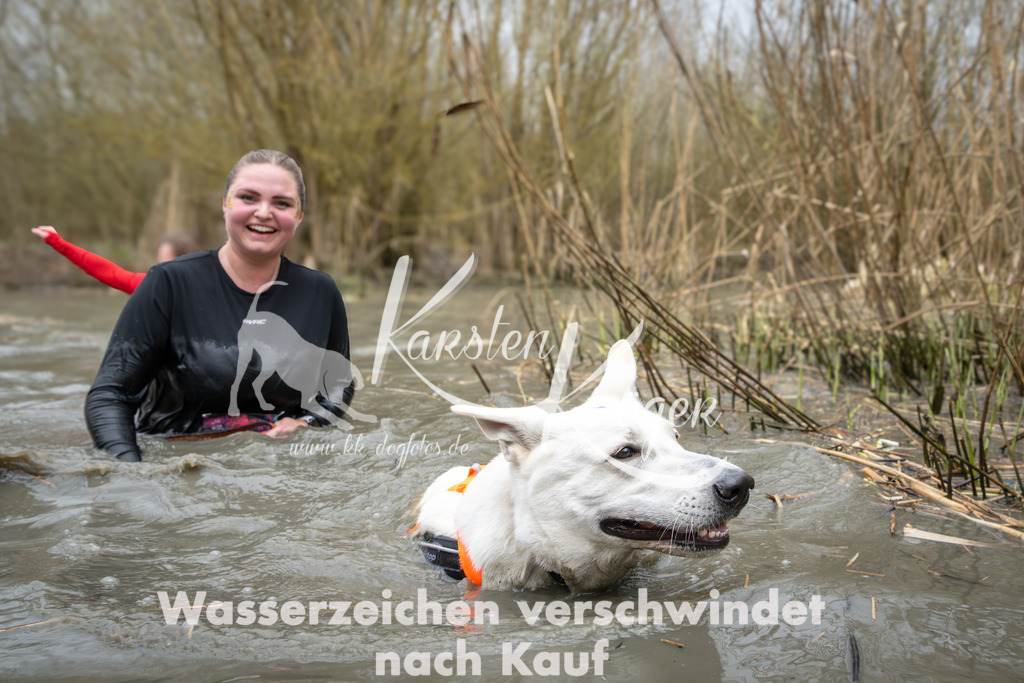 1355_ZZ94869 | kk-dogfotos