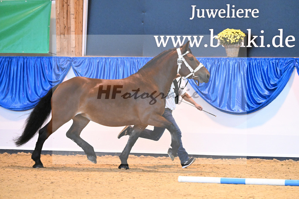 Kat-Nr. 44 Paulina_Demmel_53220018 | hf-fotografie - Realisiert mit Pictrs.com